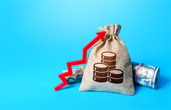 「預算管理咨詢」如何在不同階段制定不同的預算計劃？