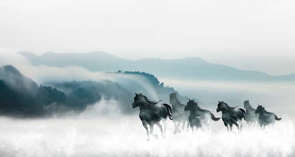 企業(yè)戰(zhàn)略規(guī)劃：為企業(yè)制定全面、長遠(yuǎn)的發(fā)展戰(zhàn)略