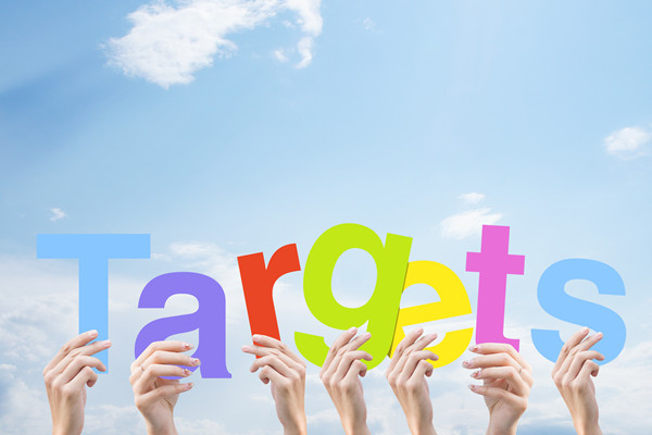 構建科學績效管理體系，提升組織整體績效水平