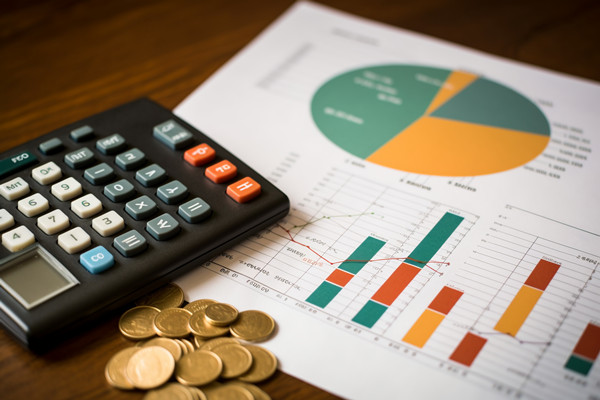 強化集團管控：財務(wù)，人力資源，信息技術(shù)的整合