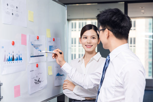 組織咨詢：協(xié)助企業(yè)制定組織發(fā)展戰(zhàn)略，推動組織成長