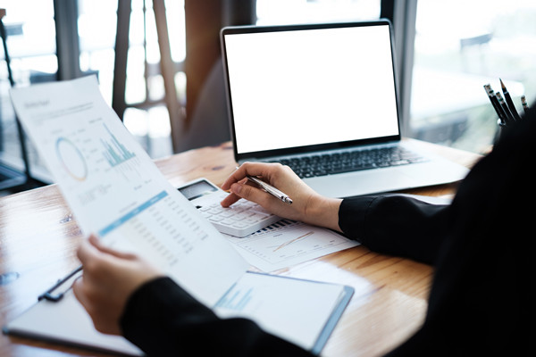 預(yù)算信息化：利用信息技術(shù)，提升預(yù)算管理效率