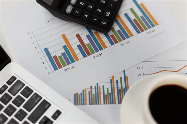 預(yù)算管理信息化建設(shè)：提升管理效率，降低管理成本