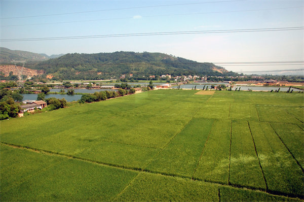 管理咨詢?nèi)绾沃η暹h(yuǎn)企業(yè)解決發(fā)展難題？