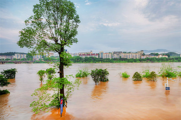 供應(yīng)鏈韌性建設(shè)：面對自然災(zāi)害的應(yīng)急計劃與恢復(fù)力？