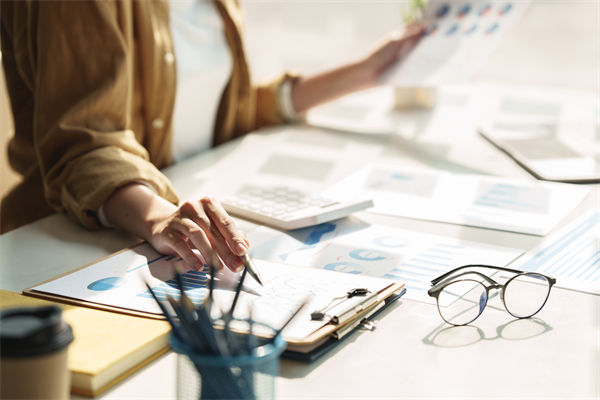 在預(yù)算執(zhí)行中，如何確保監(jiān)控與調(diào)整機(jī)制的有效性？