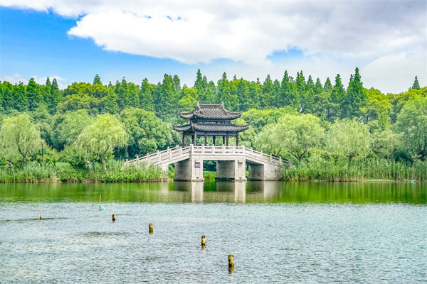 常州組織規(guī)劃咨詢公司如何設(shè)計(jì)高效組織架構(gòu)？