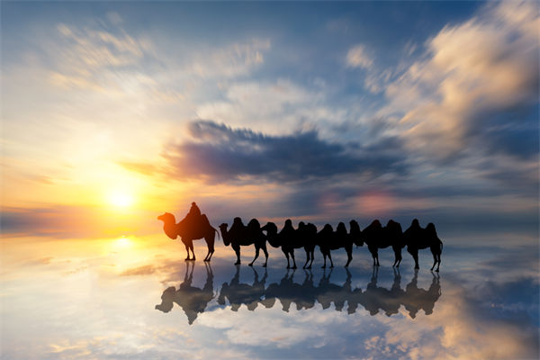 戰(zhàn)略與文化脫節(jié)，企業(yè)理念如何落地支撐發(fā)展？