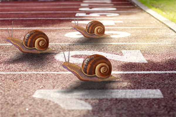 新業(yè)務(wù)拓展艱難，年度經(jīng)營計劃為其定制專屬發(fā)展路徑