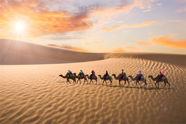 企業(yè)文化管理失效？這三大認(rèn)知誤區(qū)為何拖垮團(tuán)隊(duì)？