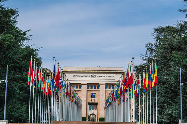 英法等25國發(fā)表聯(lián)合聲明，企業(yè)組織規(guī)劃有何啟示？