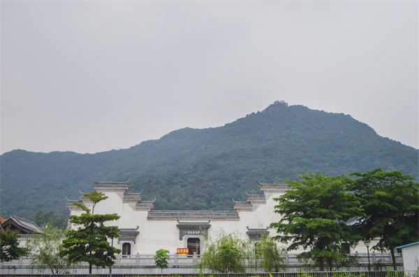 子公司各自為戰(zhàn)內(nèi)耗大，佛山集團(tuán)管控咨詢公司有何整合之道？