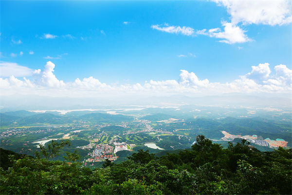 企業(yè)戰(zhàn)略飄在半空落地難，惠州戰(zhàn)略咨詢(xún)公司能錨定方向嗎？