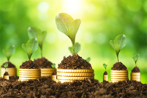 預(yù)算管理咨詢(xún)公司如何幫助企業(yè)破解資金錯(cuò)配問(wèn)題？