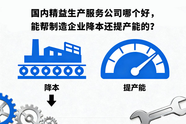 國(guó)內(nèi)精益生產(chǎn)服務(wù)公司哪個(gè)好，能幫制造企業(yè)降本還提產(chǎn)能的？