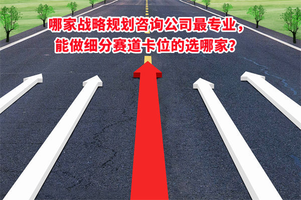 哪家戰(zhàn)略規(guī)劃咨詢公司最專業(yè)，能做細(xì)分賽道卡位的選哪家？